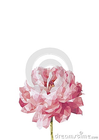 Colorful sihouette of peony flower in polygonal style on white background Stock Photo